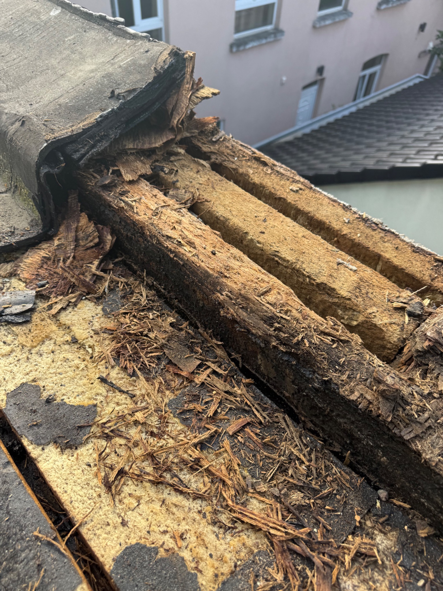 Bois de toiture fortement pourri après infiltration prolongée